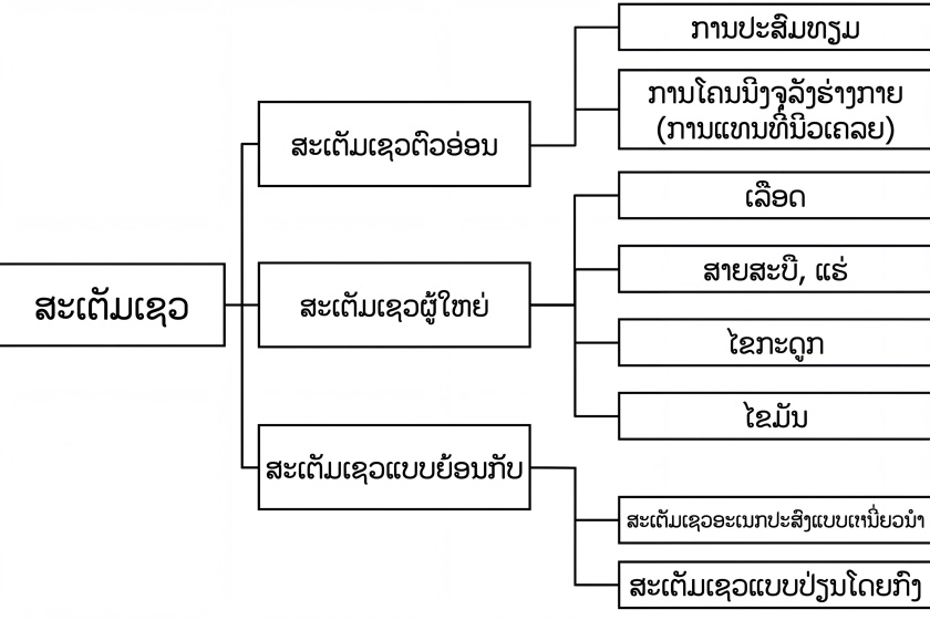 ຄວາມສາມາດໃນການແບ່ງຕົວຂອງເຊລຕົ້ນກຳເນີດ