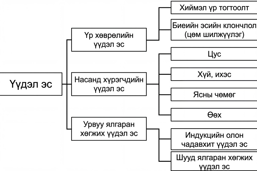 줄기세포 분화 능력